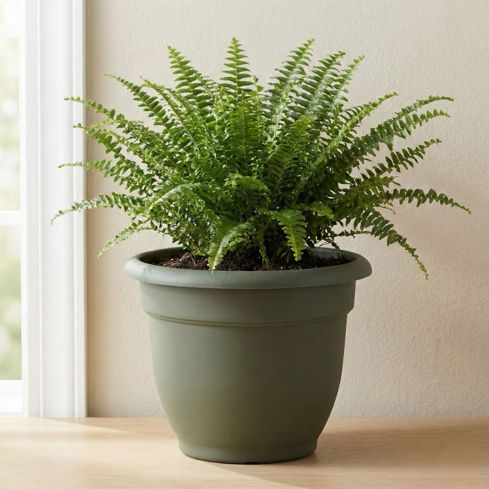 CHẬU TRỒNG CÂY BẰNG NHỰA RESIN 17X20.3CM BLOEM