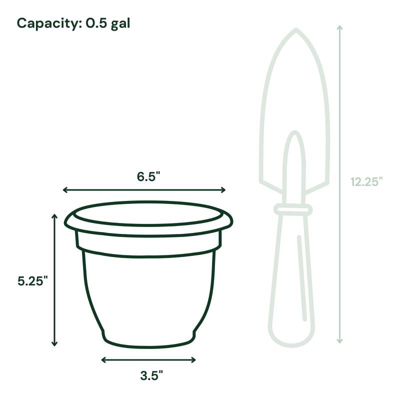 BLOEM ARIANA CHẬU TRỒNG CÂY NÂU ĐẤT 15.24CM
