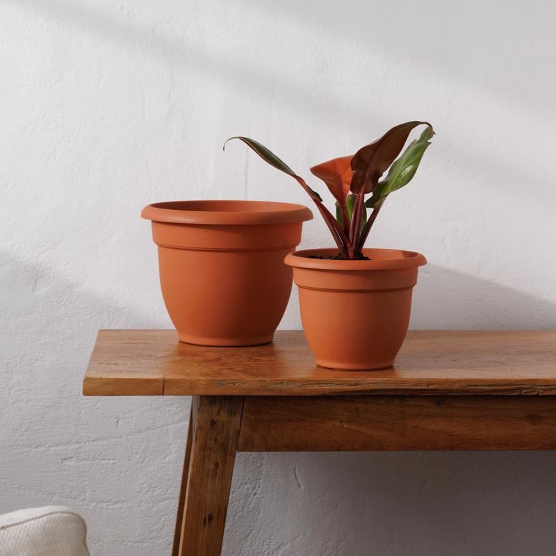 BLOEM ARIANA CHẬU TRỒNG CÂY NÂU ĐẤT 20.32CM