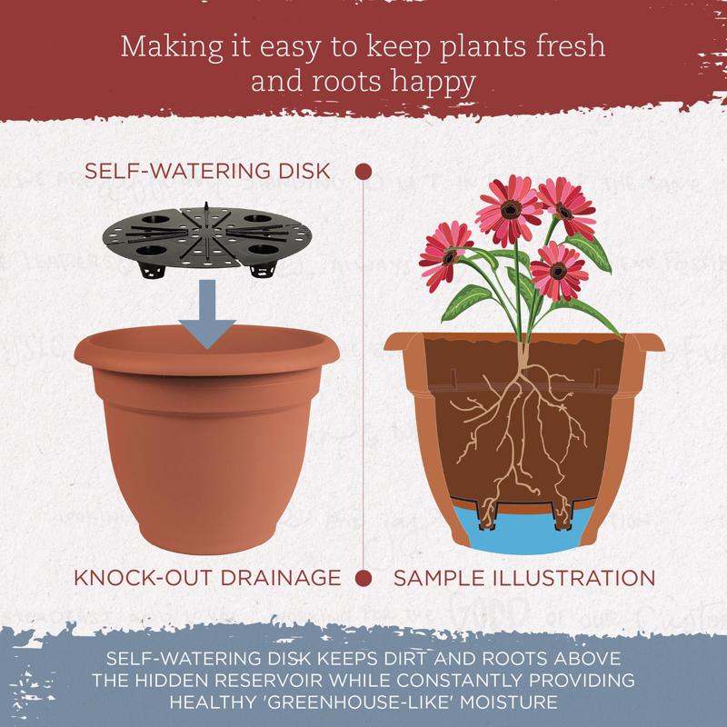 BLOEM ARIANA CHẬU TRỒNG CÂY NÂU ĐẤT 20.32CM