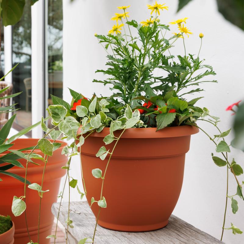 BLOEM ARIANA CHẬU TRỒNG CÂY NÂU ĐẤT 25.4CM