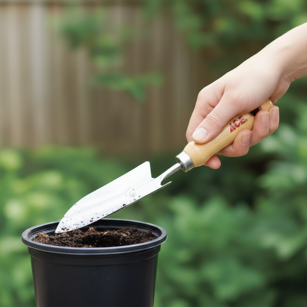 ACE XẺNG TRỒNG CÂY CẦM TAY CÁN GỖ LƯỠI THÉP