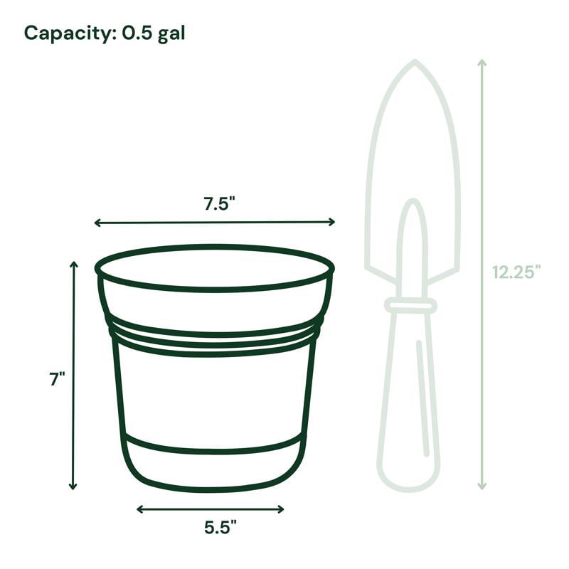 BLOEM SATURN CHẬU TRỒNG CÂY ĐEN 17.78CM