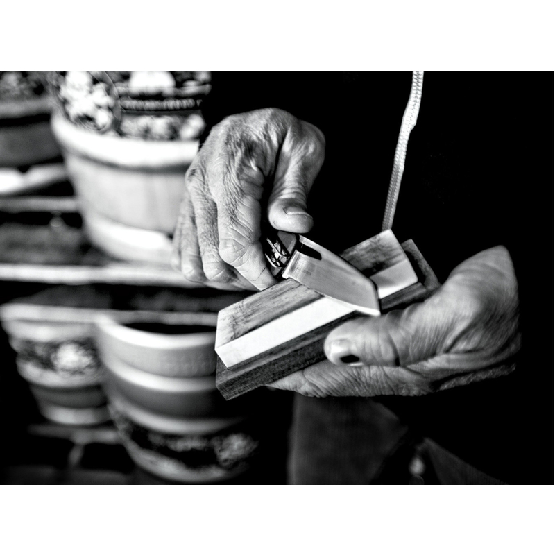 GERBER SHARKBELLY DAO GẤP BỎ TÚI 19.7CM THÉP 420HC