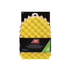 ACE BỌT BIỂN MÚT XỐP KIỂU CÁ SẤU 25X18.5X7.5CM