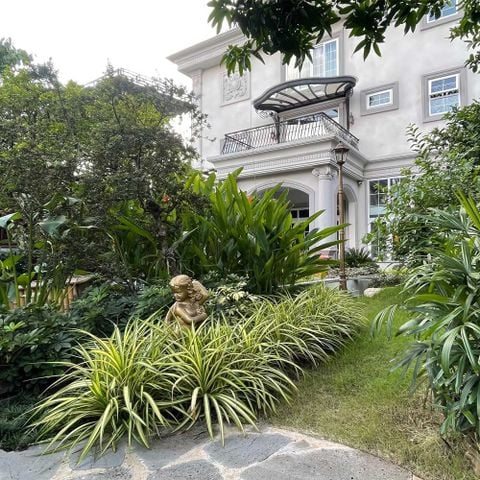 BẢO DƯỠNG CẢNH QUAN BIỆT THỰ NHIỆT ĐỚI