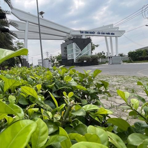 THI CÔNG CẢNH QUAN KHU CÔNG NGHIỆP 2560M2 - KCN PHƯỚC ĐÔNG, LONG AN