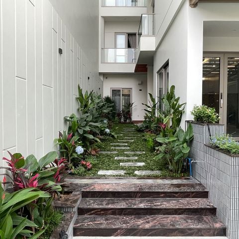 THI CÔNG SÂN VƯỜN NHÀ PHỐ DĨ AN