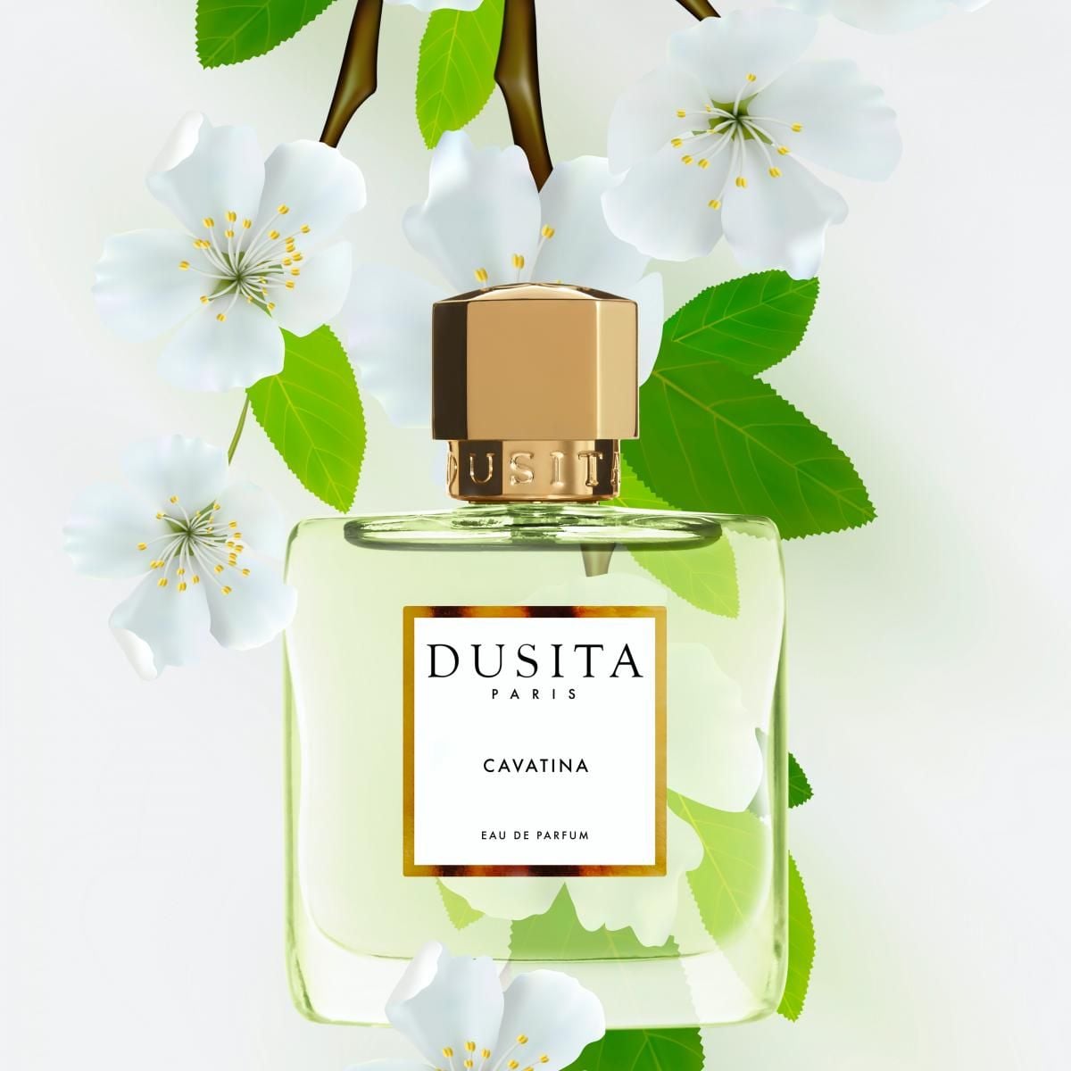  Dusita Cavatina 