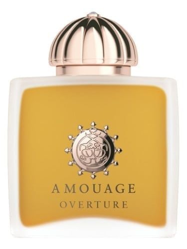  Amouage Overture Woman 