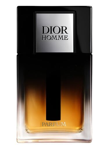  Dior Homme Parfum 