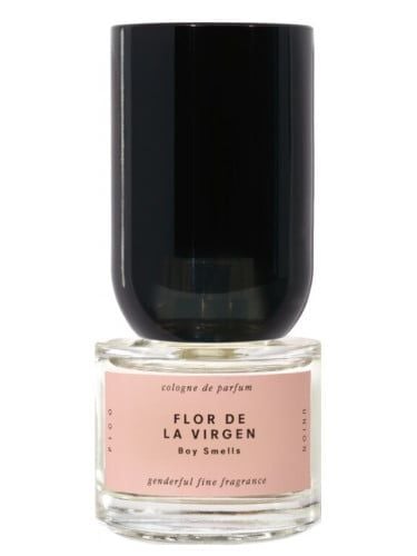  Flor de la Virgen Boy Smells 