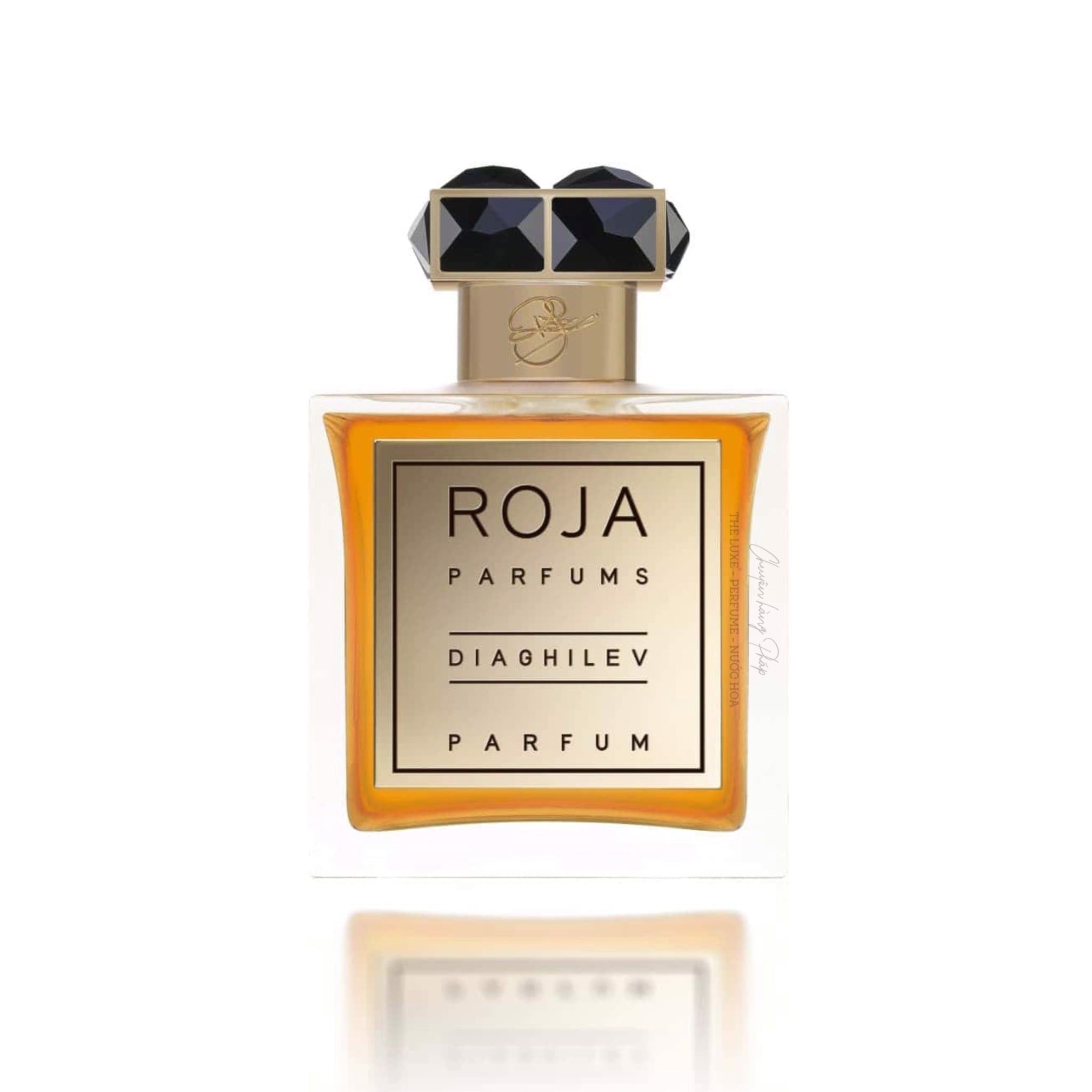  Roja Diaghilev 