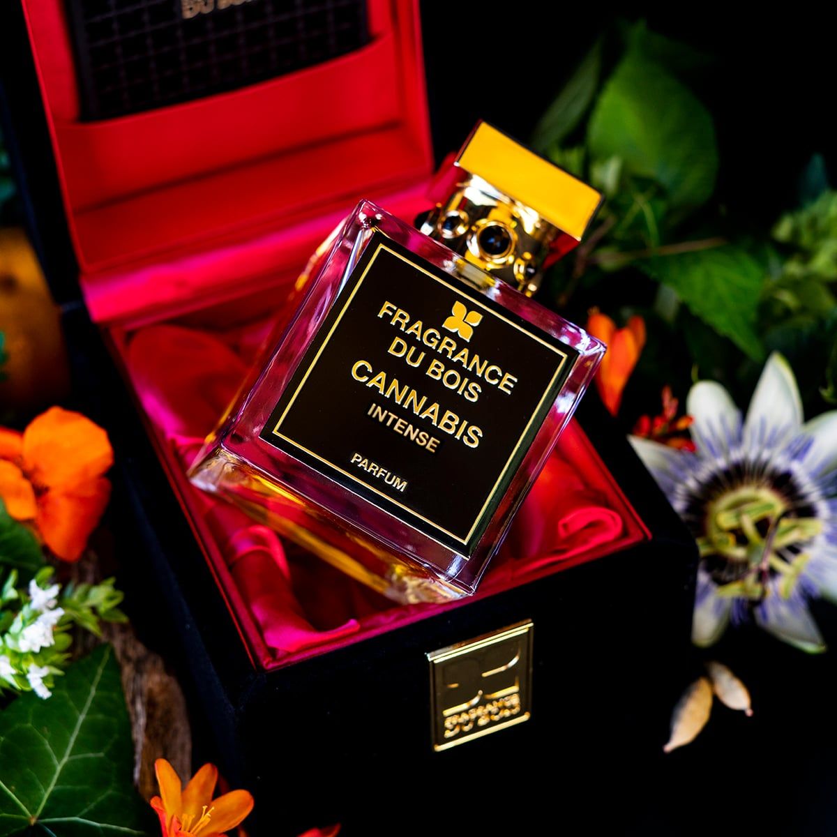  Fragrance Du Bois Cannabis Intense 