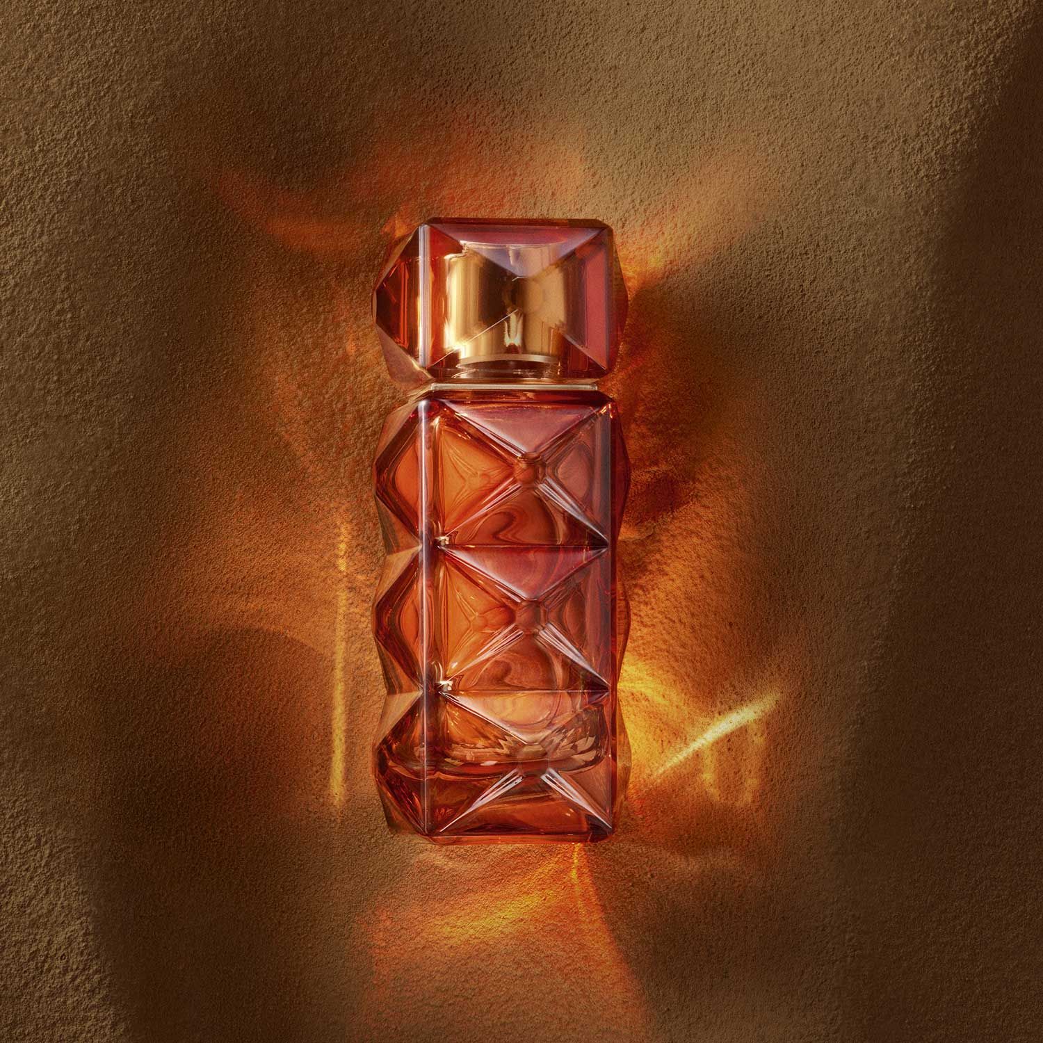  FO'AH Mémoires d'une Palmeraie 14 