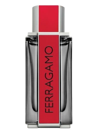 Salvatore Ferragamo Ferragamo Red Leather 