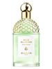  Aqua Allegoria Rosa Verde Guerlain 