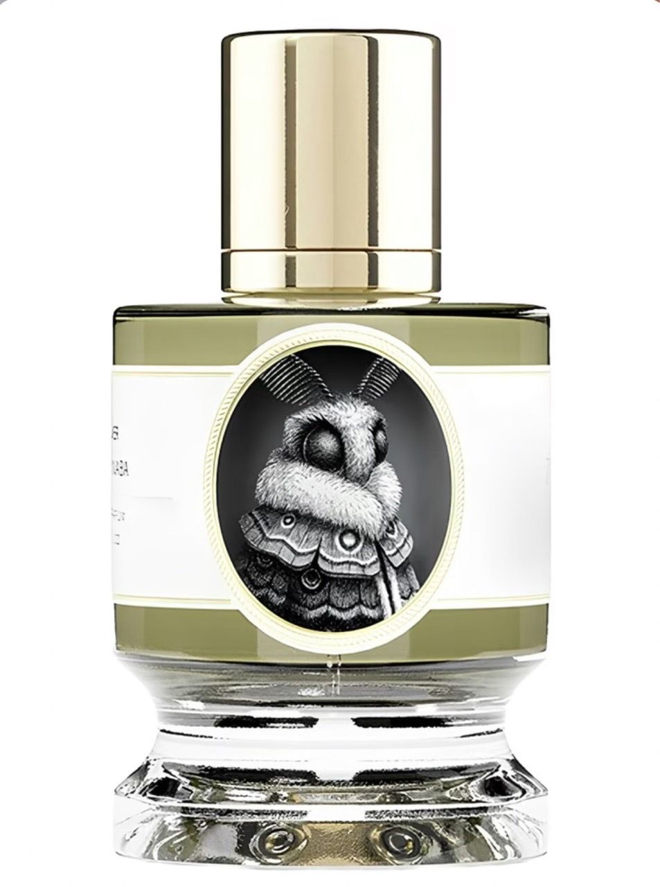  Zoologist Perfumes Moth 