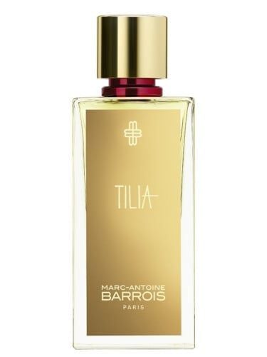  Tilia Marc-Antoine Barrois 