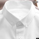  Áo Sơ Mi Oxford Basic 1998 