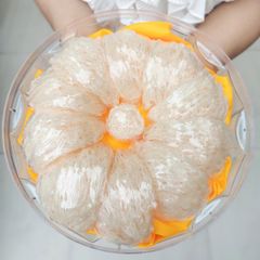 Yến Tinh Chế Sợi Ngắn - Hộp 100g - Hung Foods Golden Bird's Nest - Tặng 2 Hũ Yến Baby
