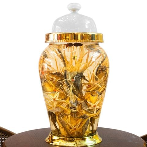 Bình Sâm Cá Ngựa Chúa 18 Lít