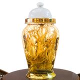 Bình Sâm Cá Ngựa Chúa 18 Lít