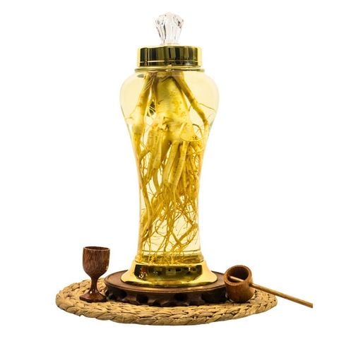 Bình Nhân Sâm Tươi Hàn Quốc 3 Lít (Sâm 4 Củ/Kg)