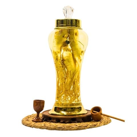 Bình Nhân Sâm Tươi Hàn Quốc 3 Lít