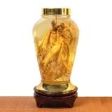 Bình Nhân Sâm Tươi Hàn Quốc 8,5 Lít