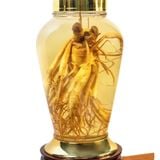 Bình Nhân Sâm Tươi Hàn Quốc 8,5 Lít