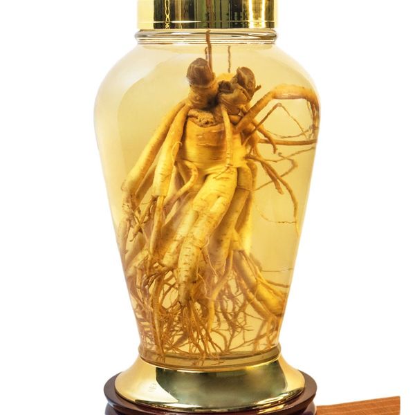  Bình Nhân Sâm Tươi Hàn Quốc 8,5 Lít 