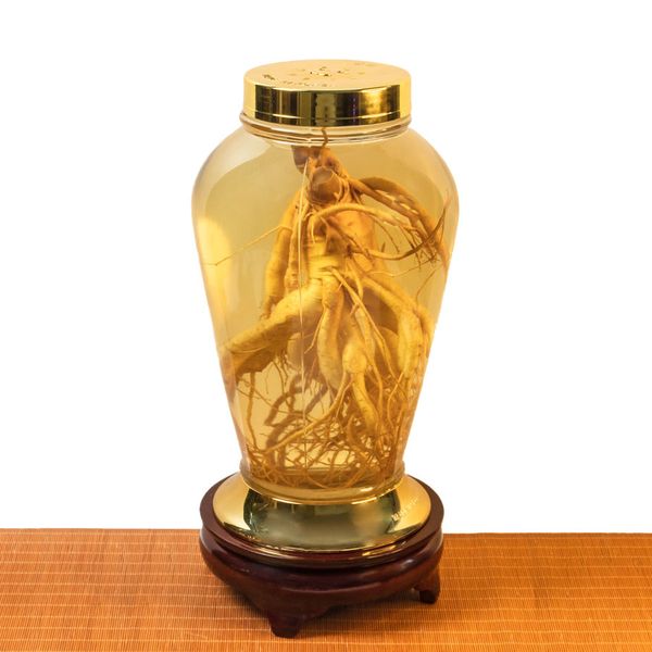  Bình Nhân Sâm Tươi Hàn Quốc 8,5 Lít 