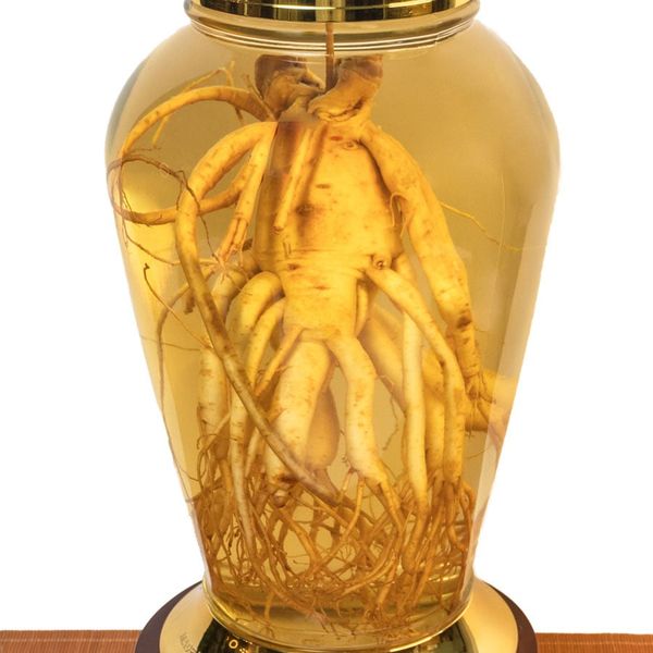  Bình Nhân Sâm Tươi Hàn Quốc 8,5 Lít 