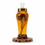 Bình Rượu Hoa Thiên Sơn Tuyết Liên 2.4L
