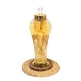 Bình Nhân Sâm Tươi Hàn Quốc 5,5 Lít