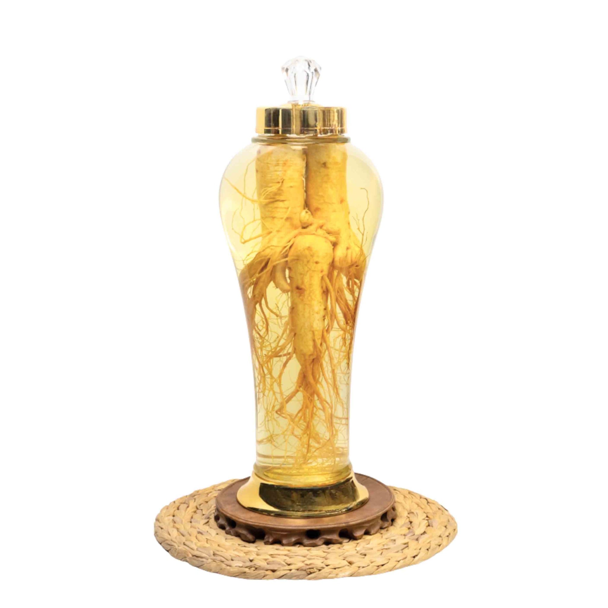 Bình Nhân Sâm Tươi Hàn Quốc 5,5 Lít