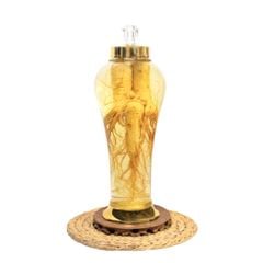 Bình Nhân Sâm Tươi Hàn Quốc 5,5 Lít