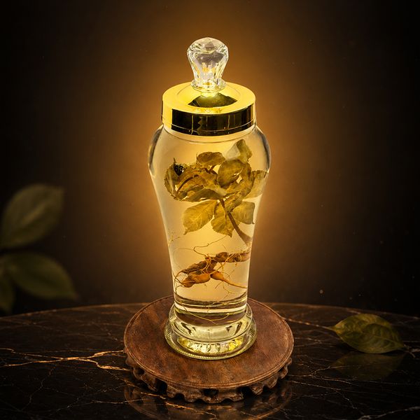  Bình Rượu Sâm Ngọc Linh Kon Tum 2,4L 