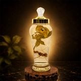 Bình Rượu Sâm Ngọc Linh Kon Tum 2,4L