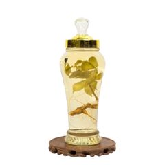 Bình Rượu Sâm Ngọc Linh Kon Tum 2,4L