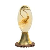 Bình Sâm Ngọc Linh Kontum 3 Lít