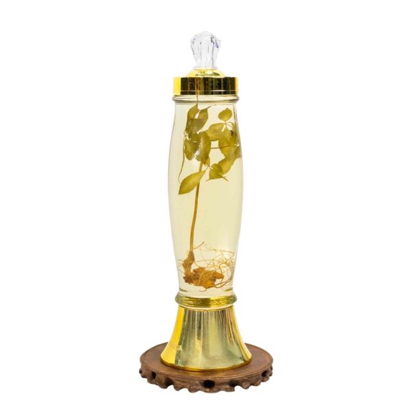  Bình Rượu Sâm Ngọc Linh Kontum 2,3 Lít 