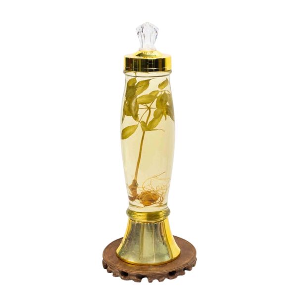  Bình Rượu Sâm Ngọc Linh Kontum 2,3 Lít 
