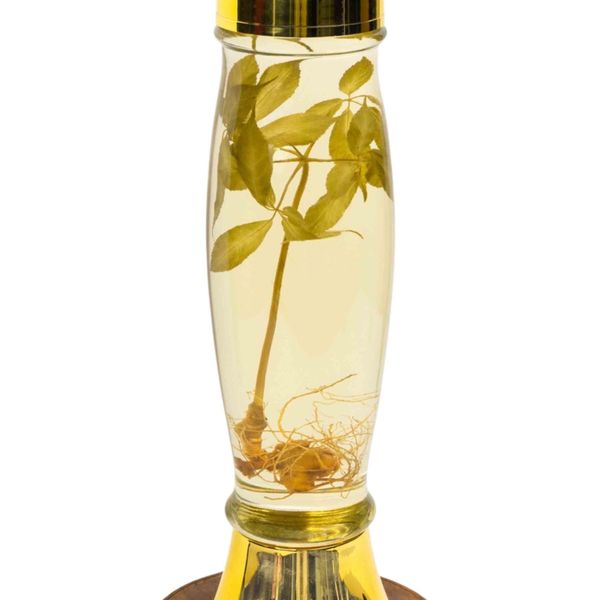  Bình Rượu Sâm Ngọc Linh Kontum 2,3 Lít 