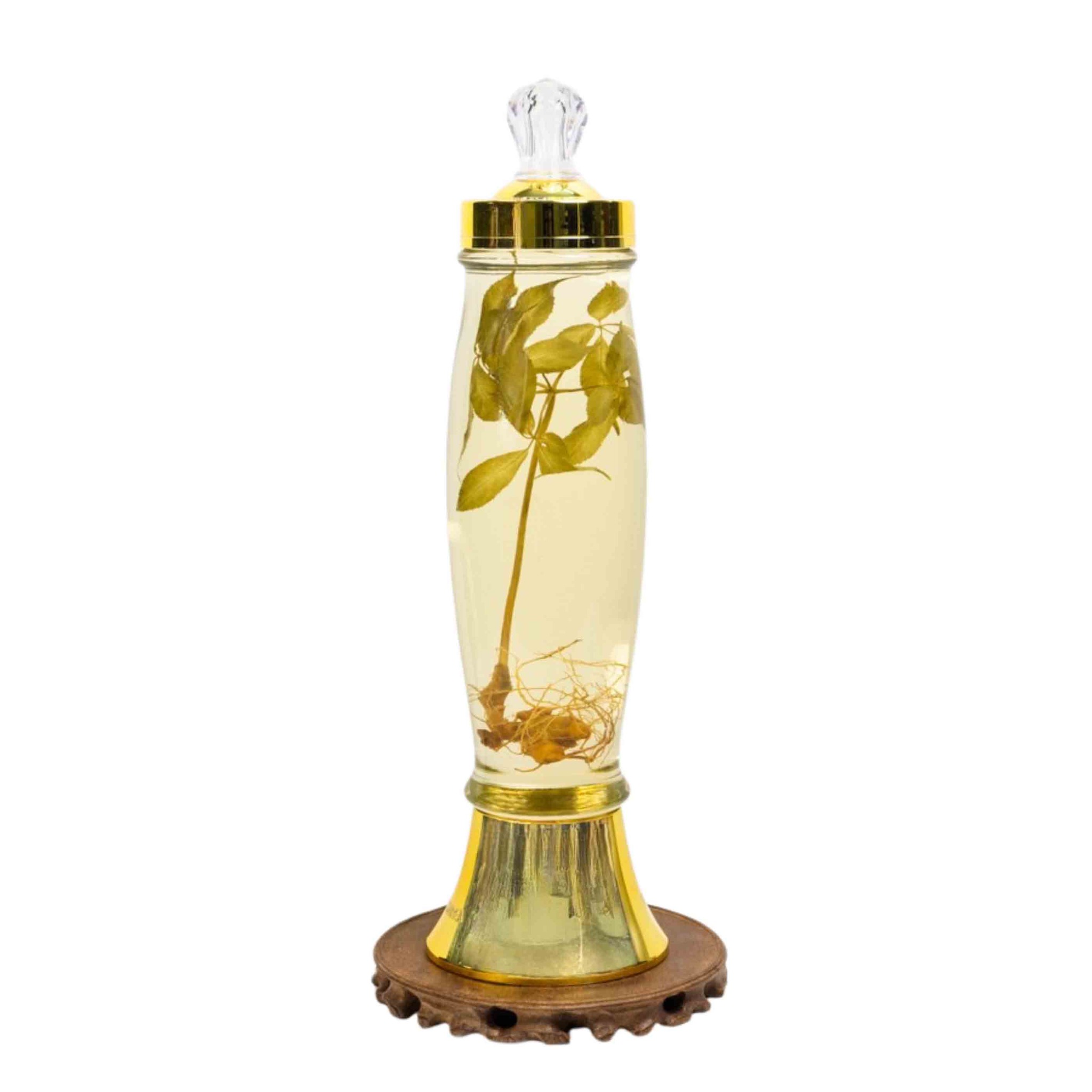 Bình Rượu Sâm Ngọc Linh Kontum 2,3 Lít