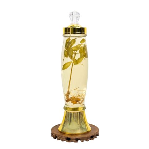 Bình Rượu Sâm Ngọc Linh Kontum 2,3 Lít
