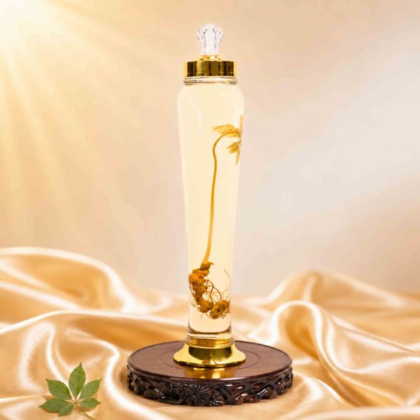  Bình Rượu Sâm Ngọc Linh Kon Tum 3L – 1 Củ Sâm Lâu Năm 