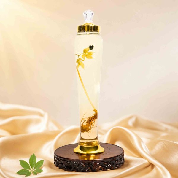  Bình Rượu Sâm Ngọc Linh Kon Tum 3L – 1 Củ Sâm Lâu Năm 