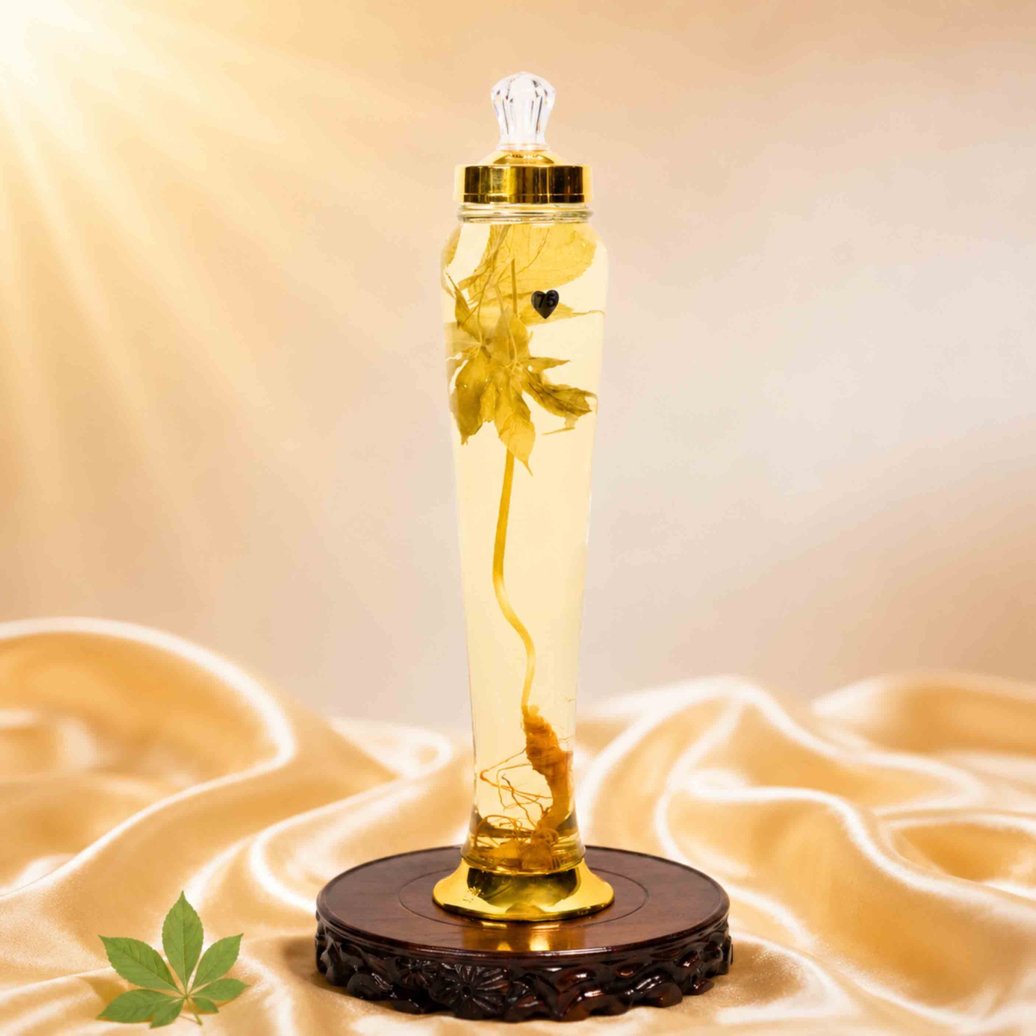 Bình Rượu Sâm Ngọc Linh Kon Tum 3L – 1 Củ Sâm Lâu Năm